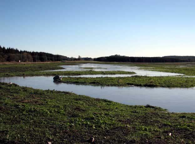 Svedala kommun Nr 94 Våtmarksområde vid Börringe Fastighet: Börringe 10:1 m fl Kommun: Svedala Dammyta: 11,5 ha Vattenvolym (max): 20 000 m3 Djup (max): 0,8 m Tillrinningsområde (ha): Mkt åker 70 ha