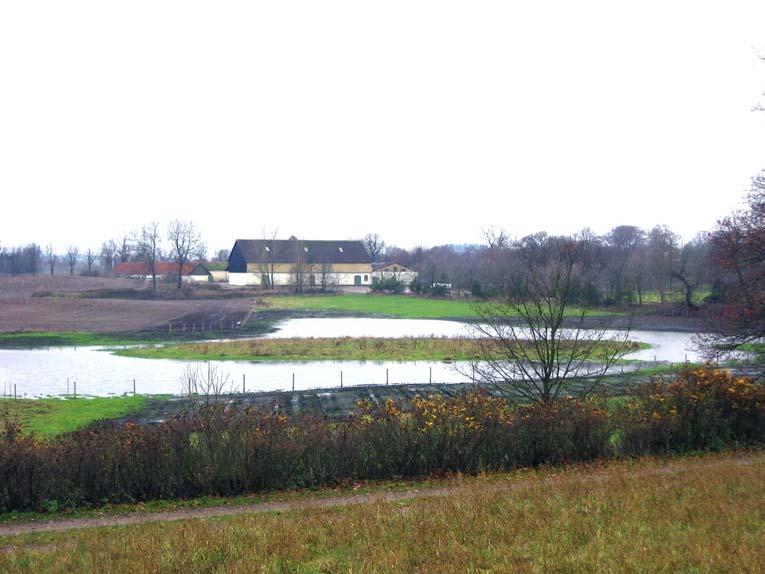 Svedala kommun Nr 97 Damm vid Klågerups Slott Fastighet: Klågerup 1:3 Kommun: Svedala Dammyta: 1,6 ha Vattenvolym (max): 6 000 m3 Djup (max): 1,0 m Tillrinningsområde