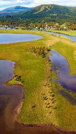 NATUR-