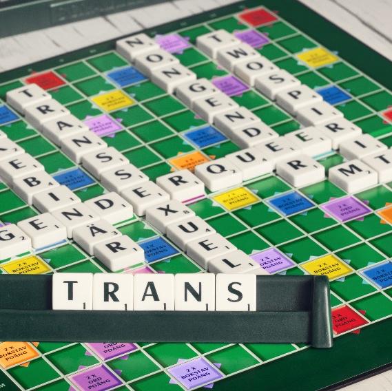 Transpersoners psykiska hälsa 3,6 Den forskning som finns är enhällig och visar att transpersoner har sämre psykisk hälsa, mer