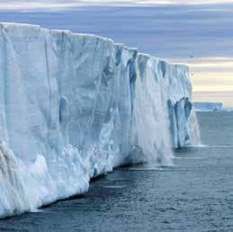 Hinlopen och Alkefjellet Har vi tur släpper isen in oss i Hinlopen och under goda förhållanden når vi Alkefjellet, en lodrät och spektakulär basaltklippa som utgör häckningsplats för närmare 200 000