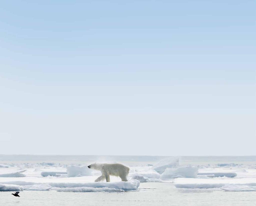 Ön fascinerar både natur- och historieintresserade. Här finns milslånga glaciärfronter med smältvattenfall.