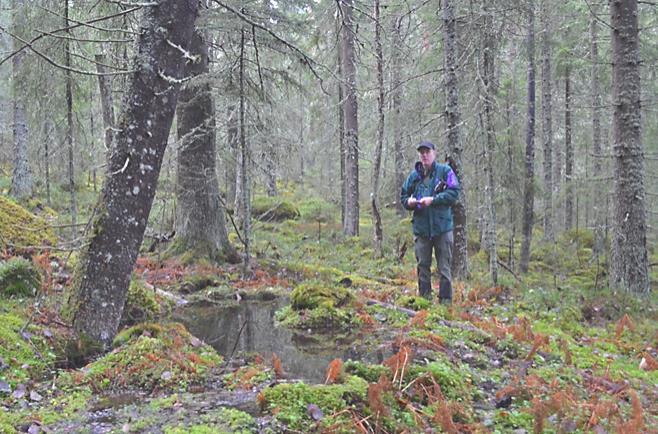 Källa vid Blybergets norrsida