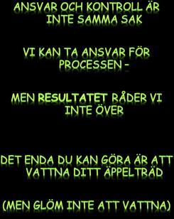 Martyrskap Byråkrati Sjukdom utbrändhet utmattningssyndrom depression Personlighetsförändring känslomässig avtrubbning moraliska defekter bitterhet och cynism Tack till Maria Larsson!