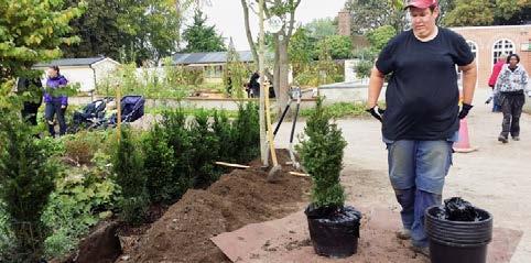 Trädgårdsgruppen Trädgårdsgruppen är en daglig verksamhet för personer med intresse av park och trädgårdsskötsel.