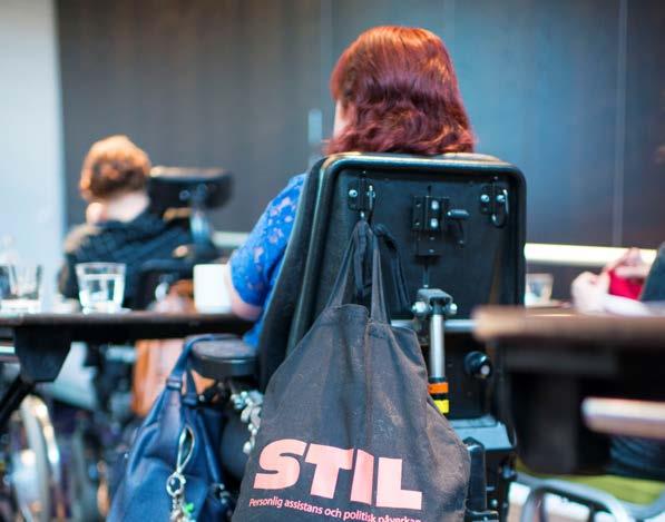 Medlemsdagar Medlemsdagarna är dagar för medlemmar i STIL. Alla medlemmar som vill kan träffas och diskutera viktiga frågor för organisationen.
