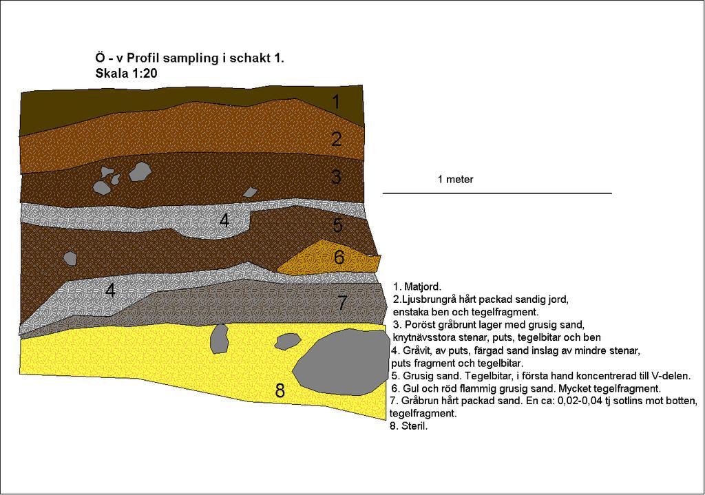 Schakt 1 Skelettdelar från människa och till viss del även djur återfinns igenom alla lager.