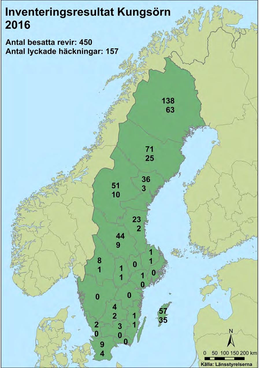 Karta Figur 1. Resultat från inventeringen av kungsörn 2016 enligt länsstyrelsernas sammanställning.