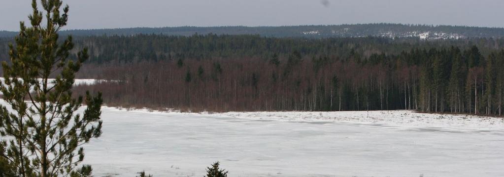 mot nordväst över Skäret.