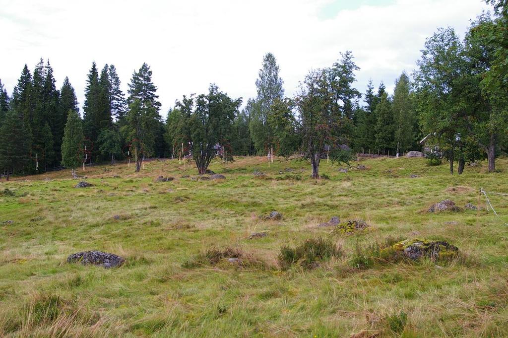 Kårebolssätern: Ca 5,5 km till närmaste vindkraftverk. 15 vindkraftverk totalhöjd 200 m.