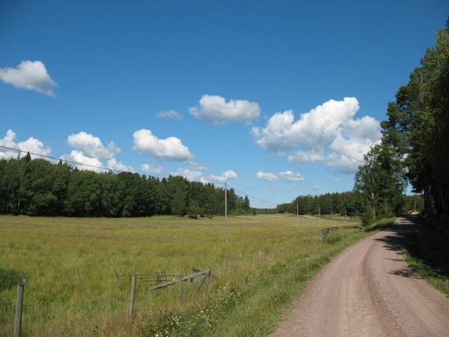 Bilder Vänern och Vänerkusten Vänern och Vänerkusten Vänerns stränder är mycket varierande och utgörs av allt från vidsträckta sandstränder som vid Vita Sannar i Mellerud, grunda vassbevuxna vikar,