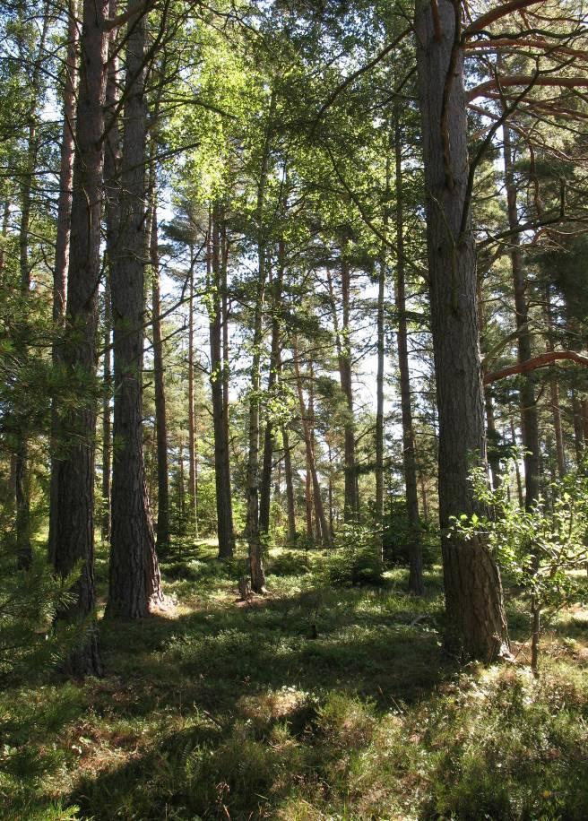 Vänerkusten är till största del orörd med småskalig bebyggelse i form av sommarstugeområden, små vikar och skärgårdsöar.