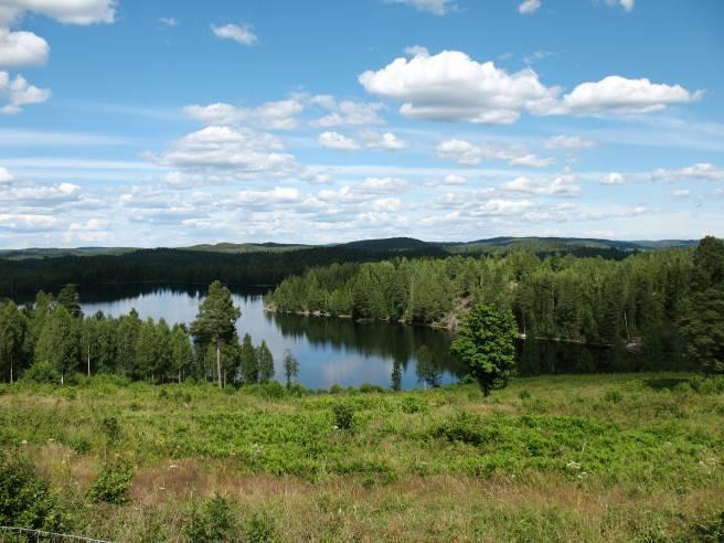 Dalboslätten har ett stort visuellt värde. Då området upplevs överlag opåverkat med liten mänsklig närvaro har det låg visuell tålighet mot nya inslag.