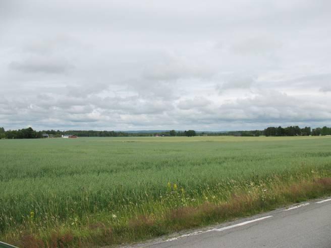 Fjällets upplevelse- och bruksvärden kan störas av vindkraft, men även Dalboslätten och backlandskapet i väst påverkas visuellt av vindkraftverk på fjället.