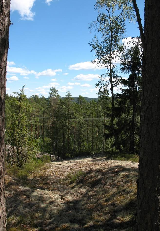 Det finns även inslag av öppen odlingsmark som ger viktiga avbrott och utblickar och variation i det annars ganska täta skogsbygden. Dessa öppningar bedöms särskilt viktiga att vårda och bevara.