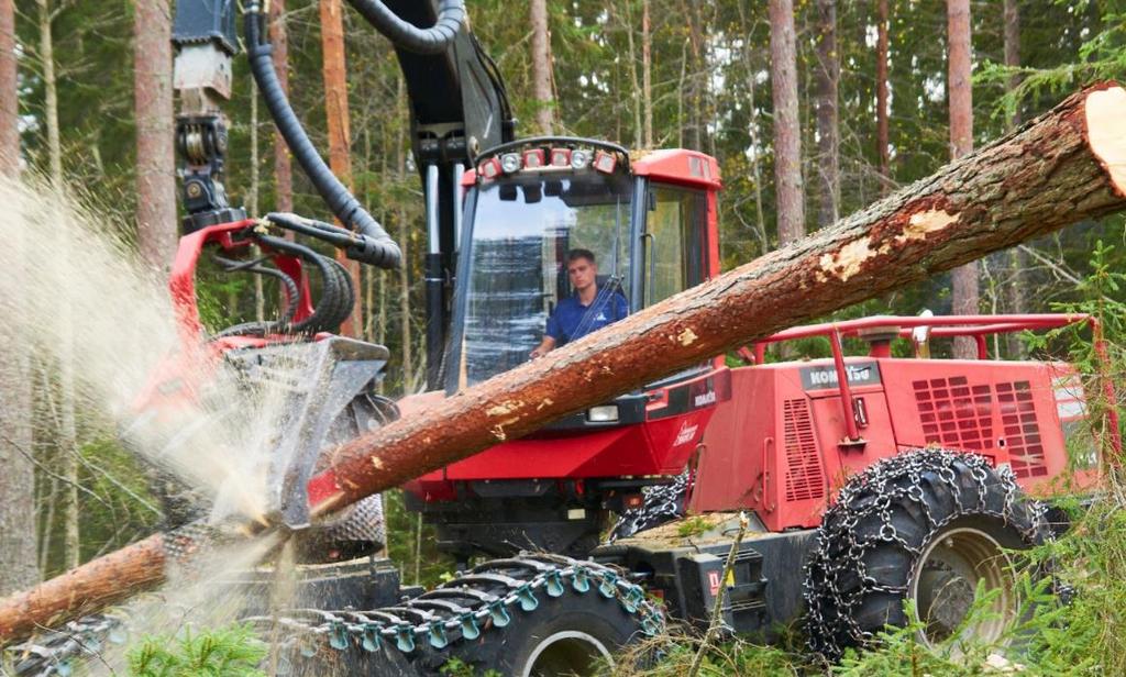 Fortsatt ökning av både virkesförrådet och avverkningen Virkesvolymen har ökat med närmare 50% över de senaste 50 åren Samtidigt har avverkningsvolymen fördubblats under motsvarande period