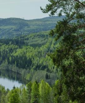 Börsvärde innan annonsering av