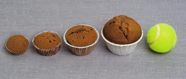 BB11 BB14 BB11 BB12 BB13 BB14 REFERENS Välj den muffins som bäst motsvarar storleken på den du åt.