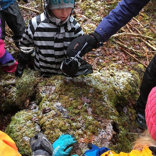 Svarta hjärtan visar vägen, nästa ledtråd är gömt i en mossig stubbe. Strax innan ser vi två korpar som spanar på oss.