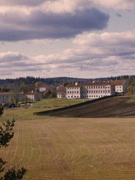 Att hjälpa unga med historia av psykisk ohälsa att