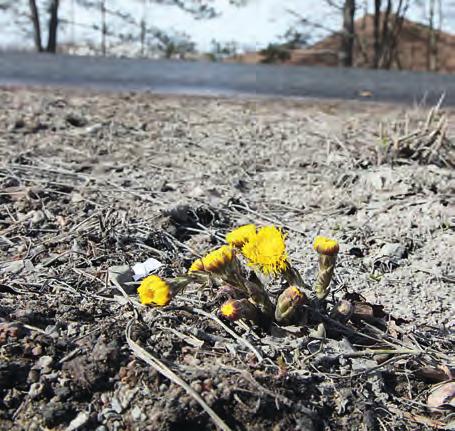 Klimatskydd Energiproduktionens utsläpp minskar Koldioxidutsläppen från energiproduktion som ägs av Helsingfors Energi minskade med sammanlagt cirka fem procent 2013 och de specifika utsläppen från