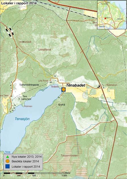 TENABADET Inventering: 2006, 2009, 2010, 2014 Prioritering: 1 Koordinater: X 6641444 Y1572093 Markägare: Uppsala Akademiförvaltning Tenabadet är en mycket begränsad lokal vid Tenasjön sydost om