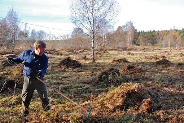 kunna främjas om buskar och träd hölls borta mellan område C och E. Nyuppkommen slyvegetation bör röjas bort och stubbar kapas ned.