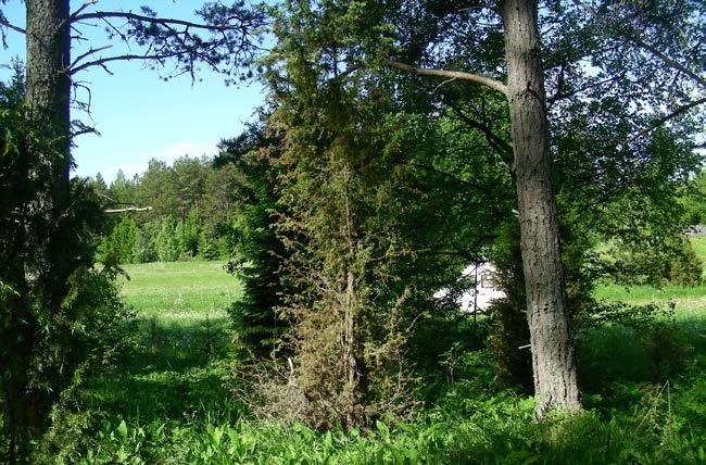 lokalen enligt shapefil Hållnäs skötselområden 101-400 Ü Ängsskära, inv