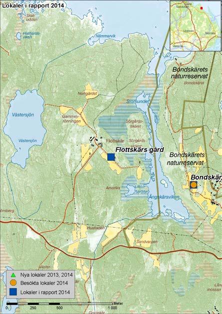 FLOTTSKÄRS GÅRD Inventering: 2007, 2010, 2013, 2014 Prioritering: 2 Koordinater: X6709781 Y1622858 Markägare: Flottskärs familjeförening Nyrestaurerade betesmarker som betas av nötdjur sedan 2011.