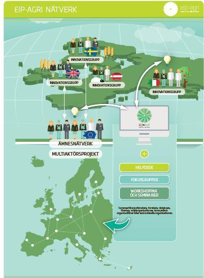 Basen för EIP-Agri är de nationella innovationsgrupperna (operational groups) I fokusgrupper och på workshops och seminarier