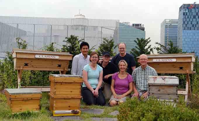 Urban Bee Seouls bikupor på taket av UNESCO-byggnaden i centrala Seoul.
