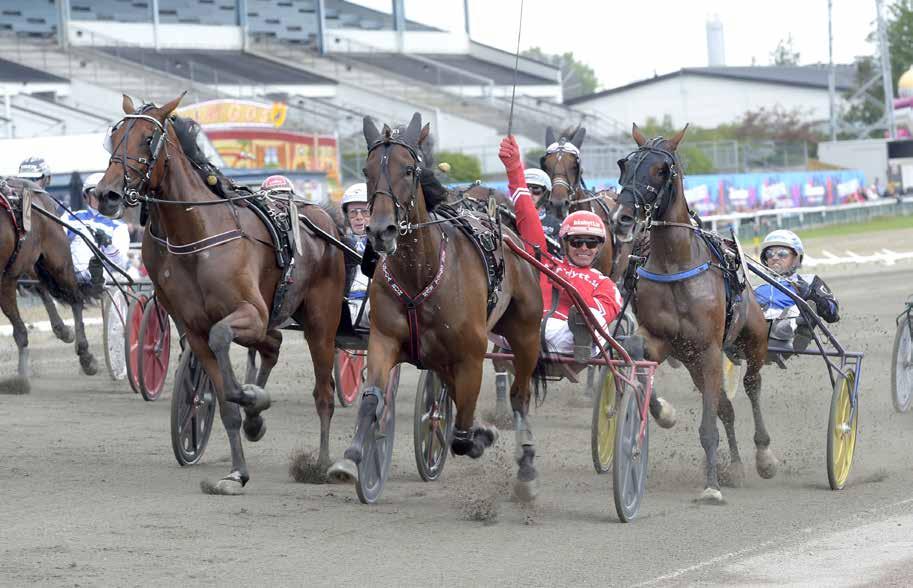 Resultten räkns ihop under kffepusen oh därefter får den bäst kusken den häftig upplevelsen tt kör en v trvskolns vrmblod i tndemvgn på tävlingsbnn!