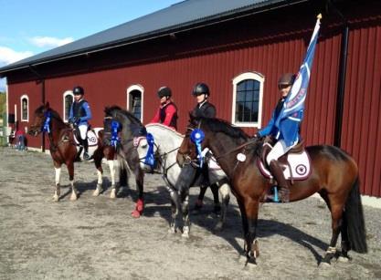 Div 3 hästhoppning 1. GlanshammarsRyttarna 2. Örebro Fältrittklubb 3. Dyltabruks Ryttarförening Totalt var det 5 lag anmälda Div 3 ponnydressyr 1. Karlskoga Hästsportklubb 2. Gyttorps Ridklubb 3.