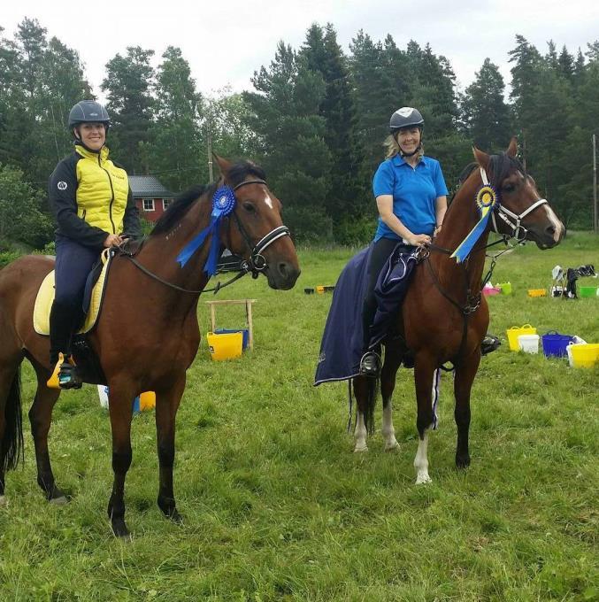 DISTRIKTSMÄSTARE 2016 DM medaljörer Distans 1. Camilla Nilsson Sokrates Nerikes Distansryttarklubb 2. Vicktoria Hellsing Strong Beer Axbergs Ryttarteam DM medaljörer fälttävlan 1.