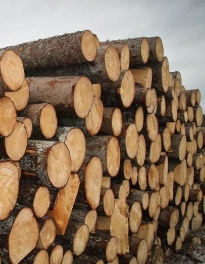 Trafikverkets bild Värmland Kapacitet och tillförlitlighet i järnvägssystemet Avsaknad av intermodal nod för