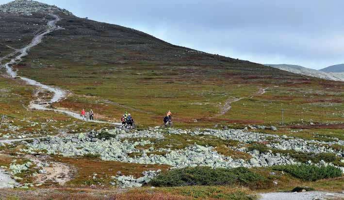 Vilda upptäcktsfärder, äventyr och minnen för livet VI PÅ IDRE FJÄLL HAR LÅNG ERFARENHET AV SKOLRESOR och har ett brett utbud av spännande fjäll- och vildmarksaktiviteter.