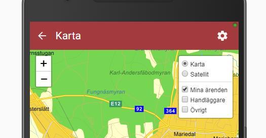 De ärenden som visas för dessa val motsvarar de ärenden som visas i den vanliga listan av