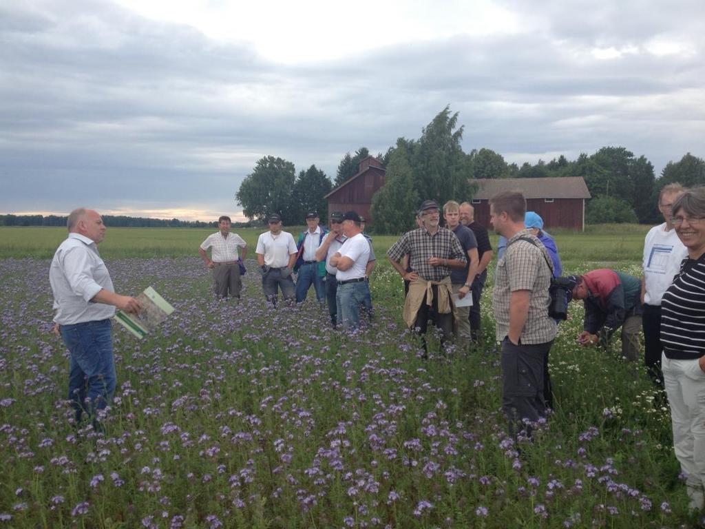 Pollineringssamarbete lantbruk biodling, del 2 Projektet har skapat ett bestående samarbete mellan biodlare och lantbrukare.