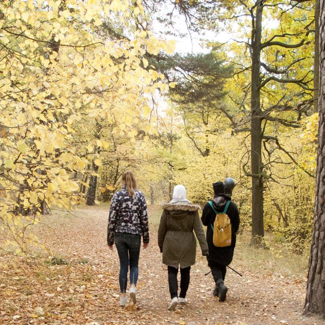 Ljudguide: Parkprat (åk 7-9) Vad ser unga människor i Nationalstadsparkens konst, arkitektur, natur och historia? Vad berättar de om?