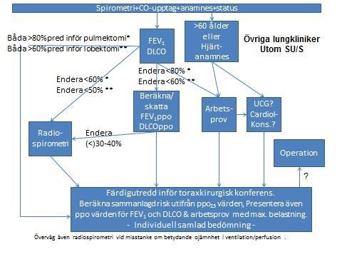 Bilaga 2 Postoperativ funktion presenterad enligt ppo25-systemet Risk ppo25 1.Normal 30 % 2.Normal/Ökad 27-29 % 3.Ökad 24-26 % 4.Ökad/Mycket ökad 21-23 % 5.