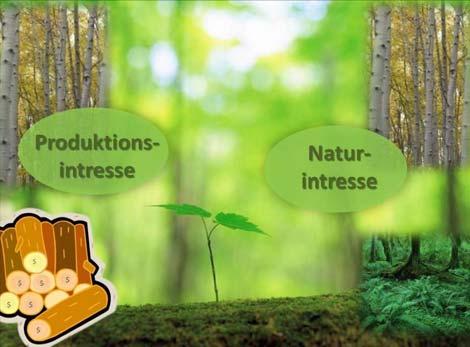 Det svenska skogsbrukets stora affärsaktörer kan vinna väsentligt vinster på om anknytning till hållbart lövskogsbruk kan användas som ett verktyg för att tydliggöra att deras volyminriktade