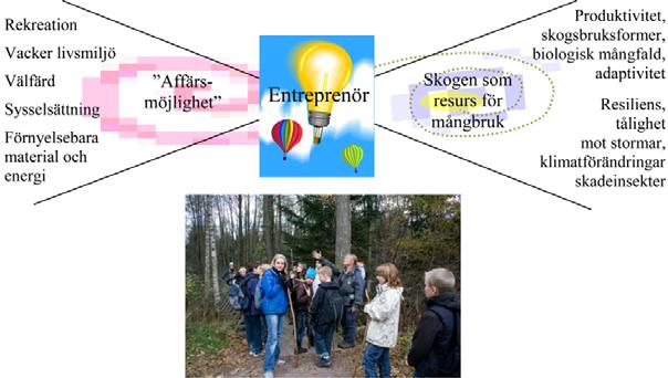 Bild 5. Mångsidigt skogsbruk kan vara en grund för entreprenörskap.