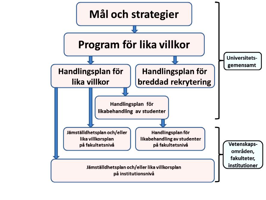 1 Bakgrund Lika villkor på Uppsala universitet Universitetets arbete med lika villkor utgår från Diskrimineringslagen.