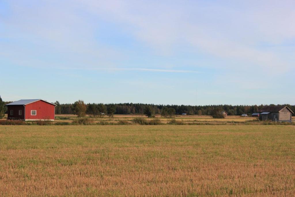 VindIn Ab/Oy Pörtom vindkraftpark 49 området. Med hjälp av mätningarna preciseras bland annat uppgifterna om områdets vindhastighet. Figur 36.