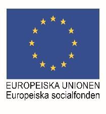 ehälsa-lyftet 2016-2018 627 lokala utvecklingsledare för dialogseminarier Karolinska universitetssjukhuset, Södersjukhuset, Danderyds sjukhus, St Eriks sjukhus och Stockholms läns sjukvårdsområde