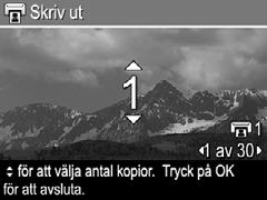 Koppla bort kameran från datorn och tryck på för att verifiera att de nya destinationerna nu är tillgängliga i kameran. Skicka enskilda bilder till online-destinationer 1. Slå på kameran och tryck på.