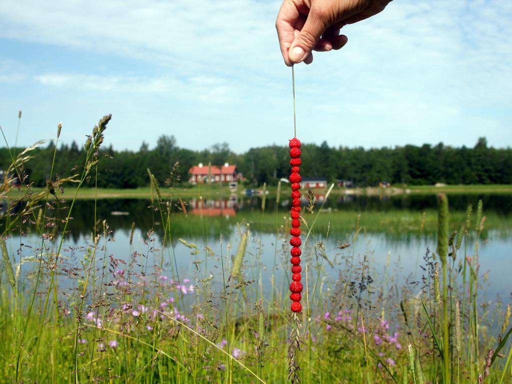 Gävle är Sveriges andra bästa