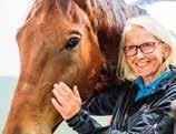 Elitseriens finl! Breeders Crown är oh hr lltid vrit den mest rättvis trvtävlingen i verige.