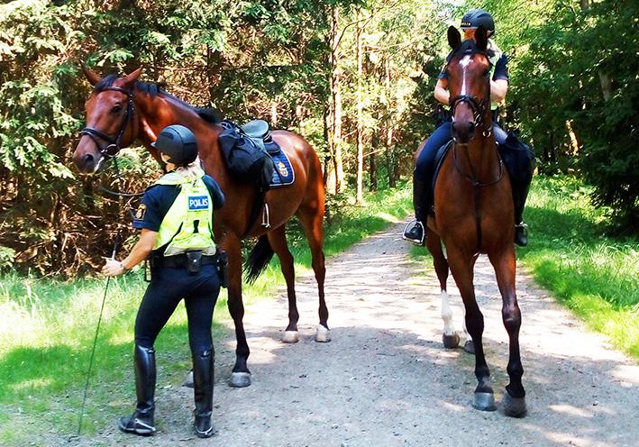 Till hjälp under dagen fanns poliser men även polisens volontärer. //Richard Hultemark 29 maj Figuranter med rytteriet. Vi var två volontärer som deltog i ett räddningsuppdrag.