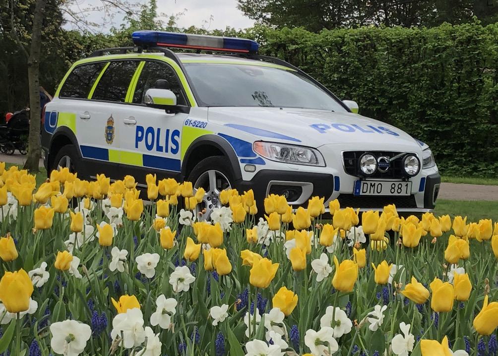 Nere i Linnéparken stod polisbilen